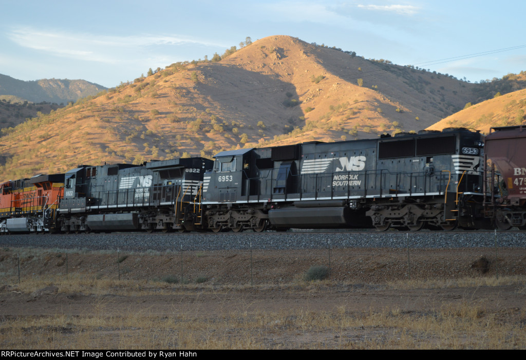 NS Horses at the Loop